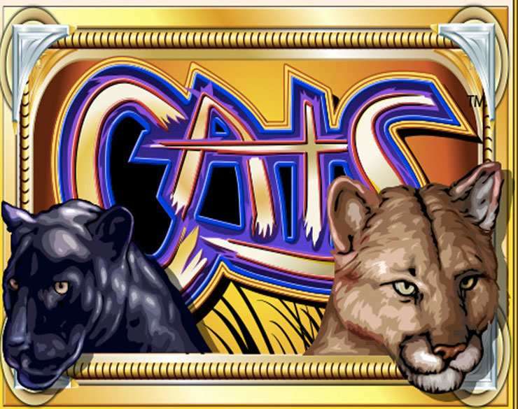 cats casino game - Что на самом деле означает эта статистика?