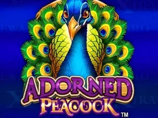 Adorned Peacock