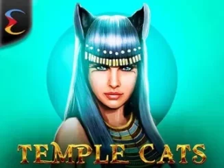 Temple Cats