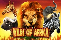 King of Africa