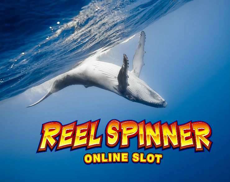 Reel Spinner