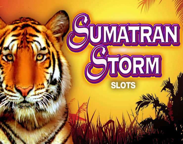 Sumatran Storm