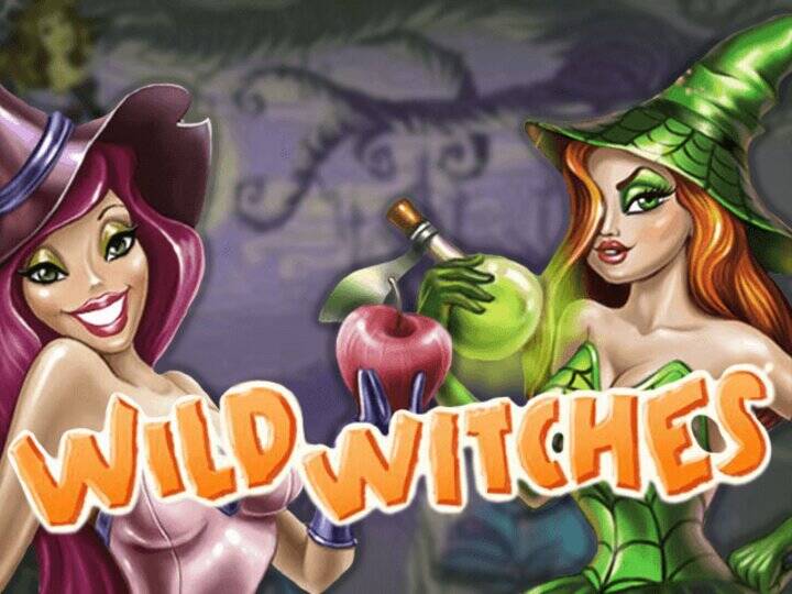 Wild Witches