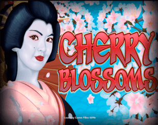 Cherry Blossoms