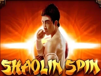 Shaolin Spin