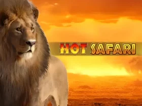 Hot Safari