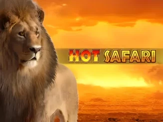 Hot Safari