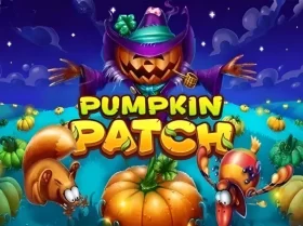 Pumpkin Patch