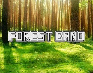 Forest Band