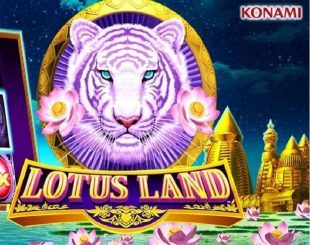 Lotus Land Progressive