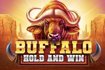 Buffalo Hold and Win 