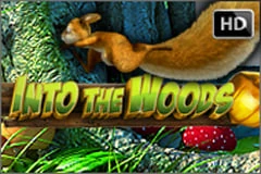 Into The Woods