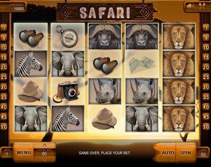 Safari