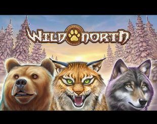 Wild North