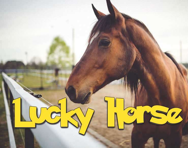 Lucky Horse