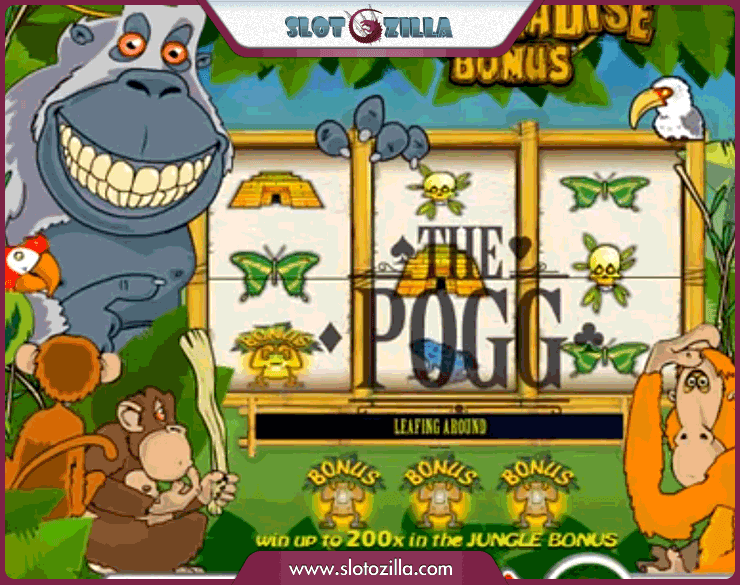 Monkey Paradise Bonus