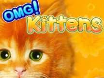 Omg Kittens