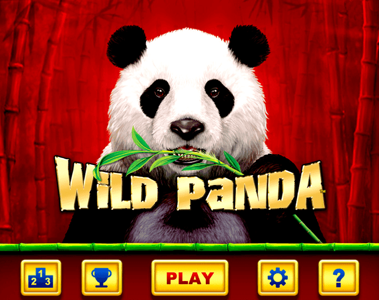 Wild Panda