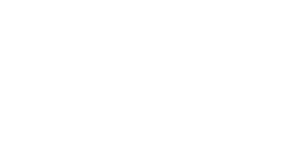 NaoBet Casino Erfahrungen logotype