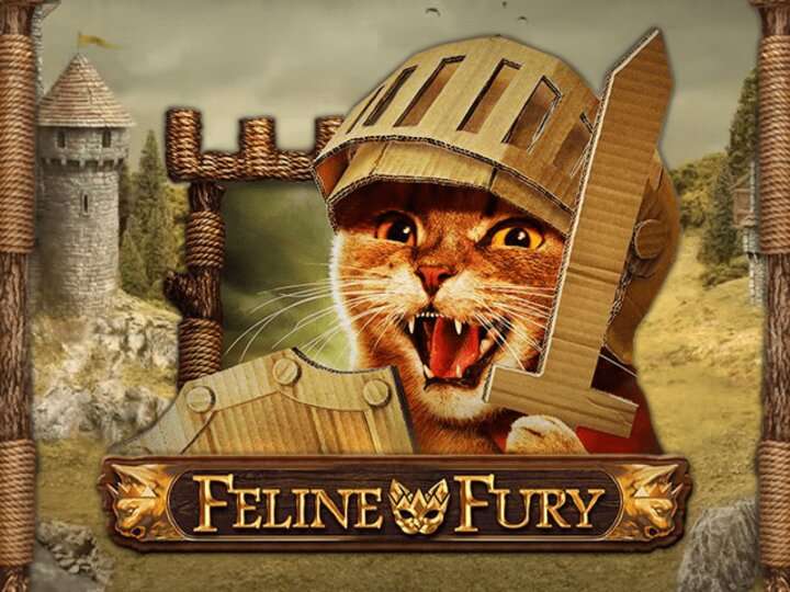 Feline Fury