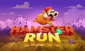 Hamster Run