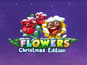 Flowers: Christmas Edition