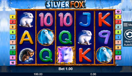 Silver Fox Spielautomat