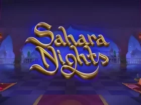 Sahara Nights