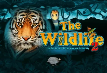 The Wildlife 2