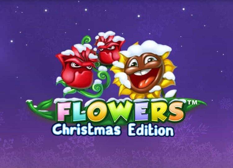Flowers Christmas