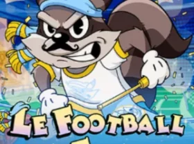 Le Football Fan