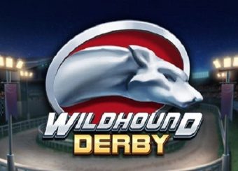 Wildhound Derby