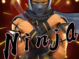 Ninja