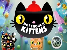 Not Enough Kittens
