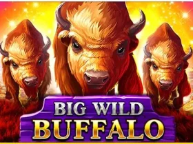 Big Wild Buffalo