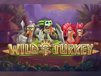 Wild Turkey