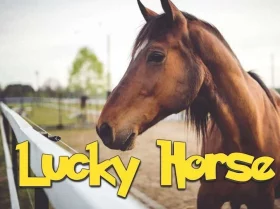 Lucky Horse