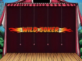 Wild Joker