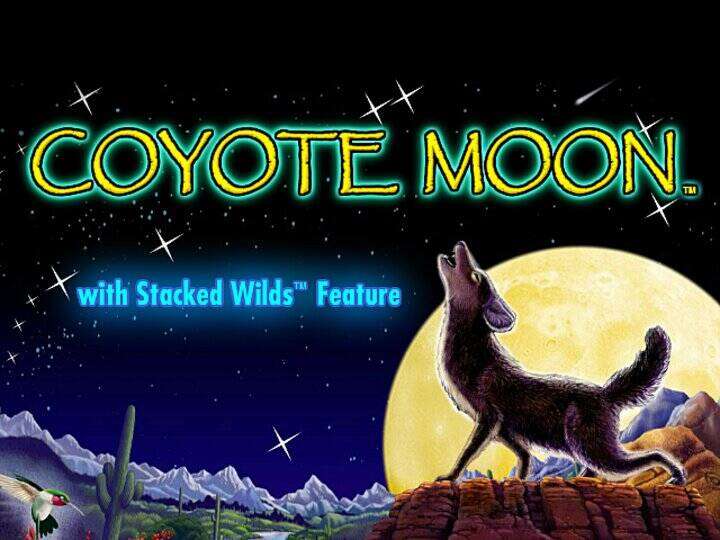 Coyote Moon