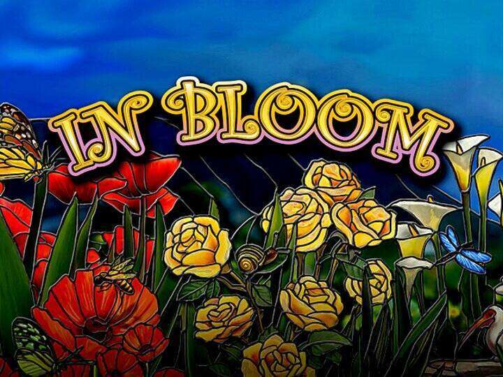 In Bloom
