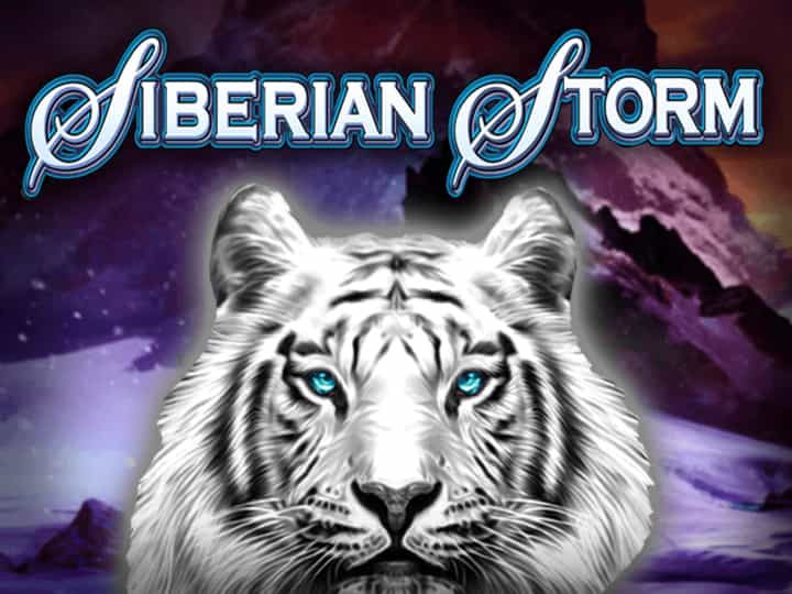 Siberian Storm Dual Play