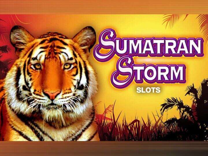 Sumatran Storm