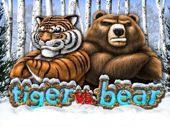 Tiger vs Bear