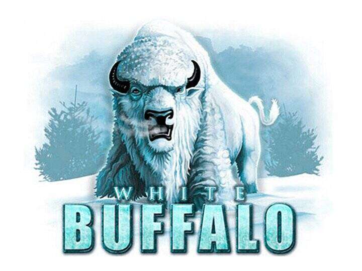 White Buffalo