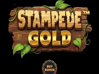 Stampede Gold