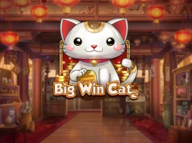 Big Win Cat