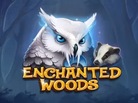 Enchanted Woods