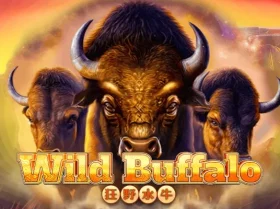 Wild Buffalo