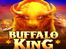 Buffalo King