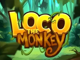 Loco the Monkey